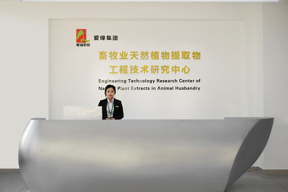 BG大游·(集团)视讯官方网站