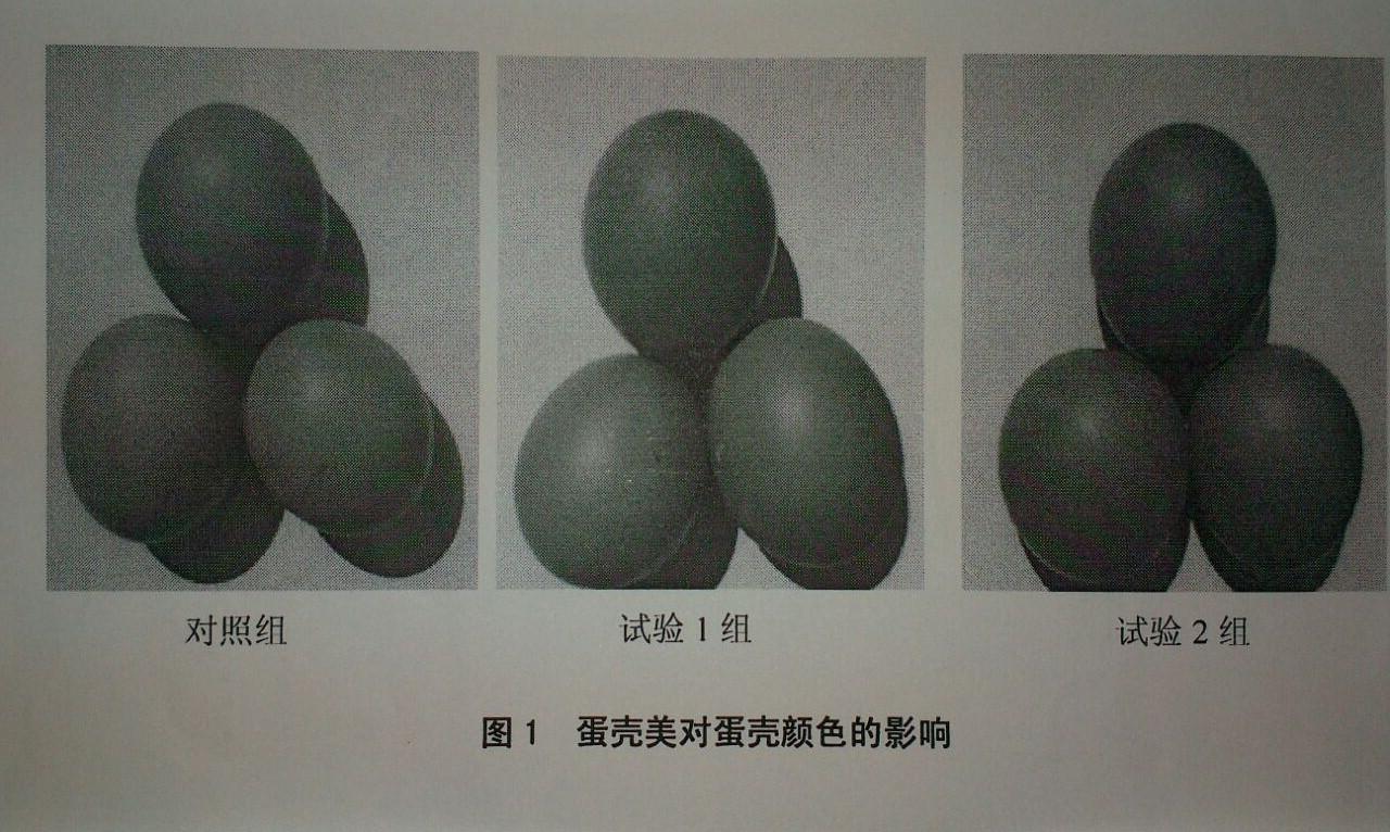 BG大游·(集团)视讯官方网站