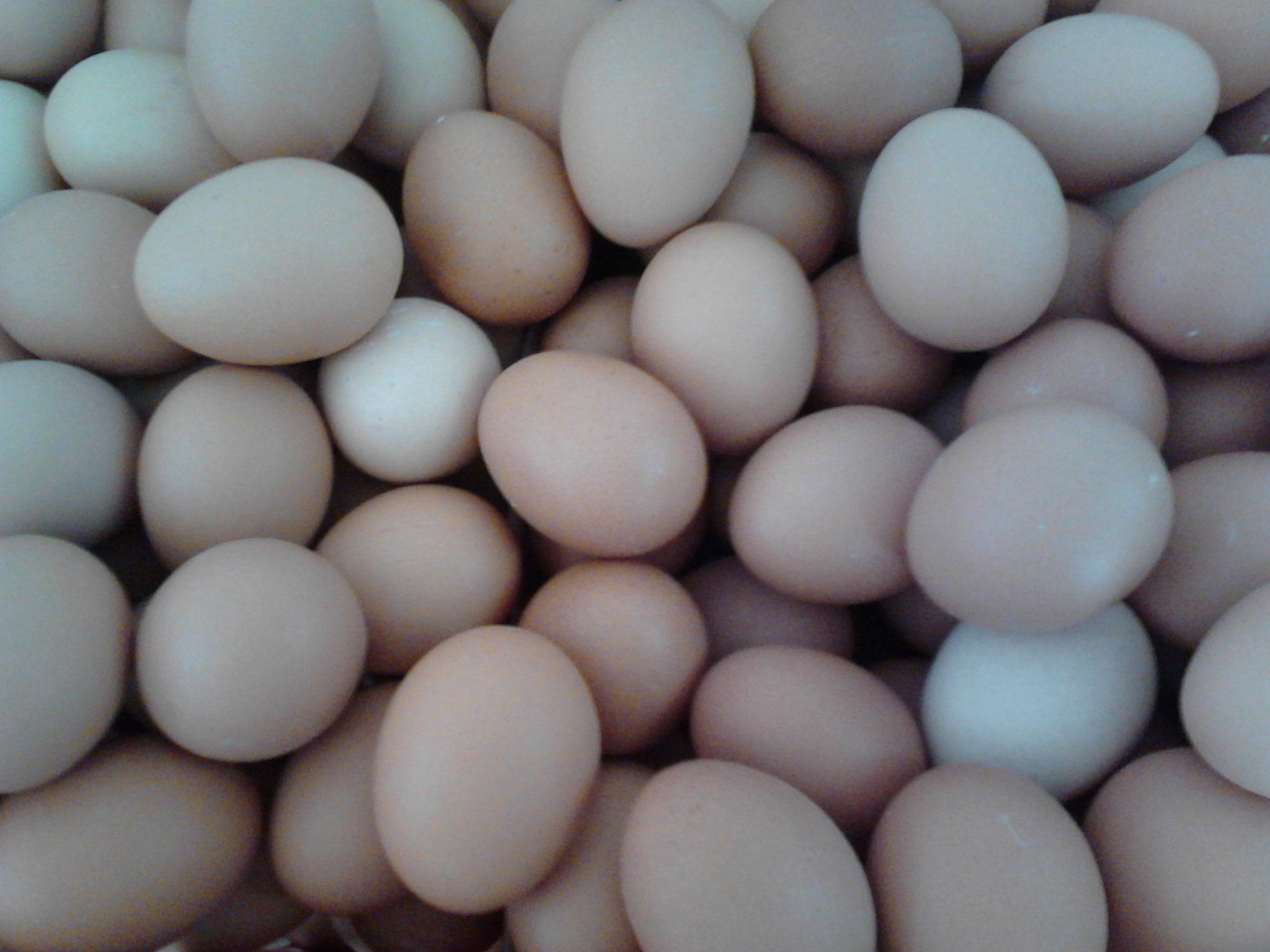 BG大游·(集团)视讯官方网站