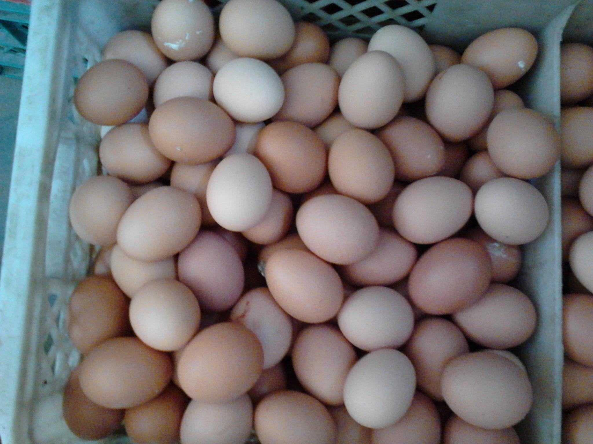 BG大游·(集团)视讯官方网站