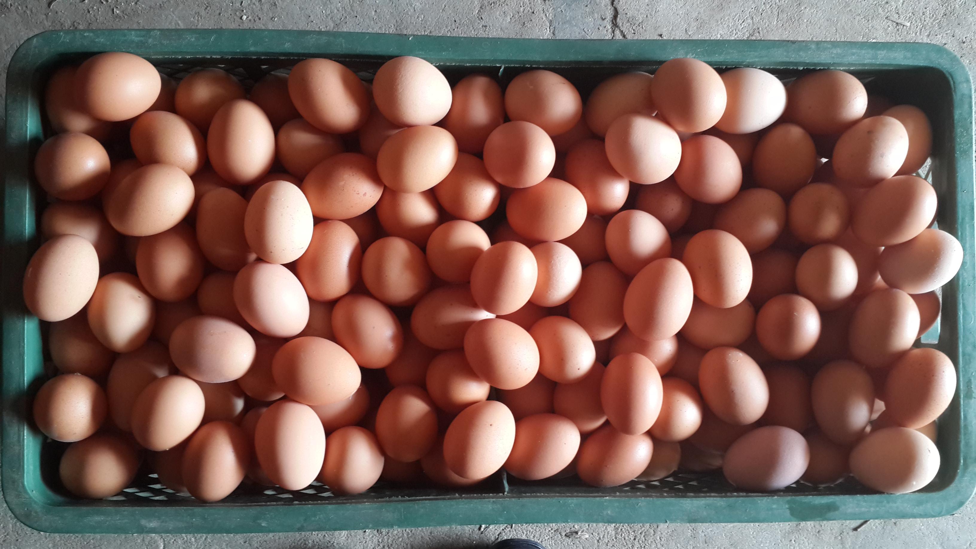 BG大游·(集团)视讯官方网站