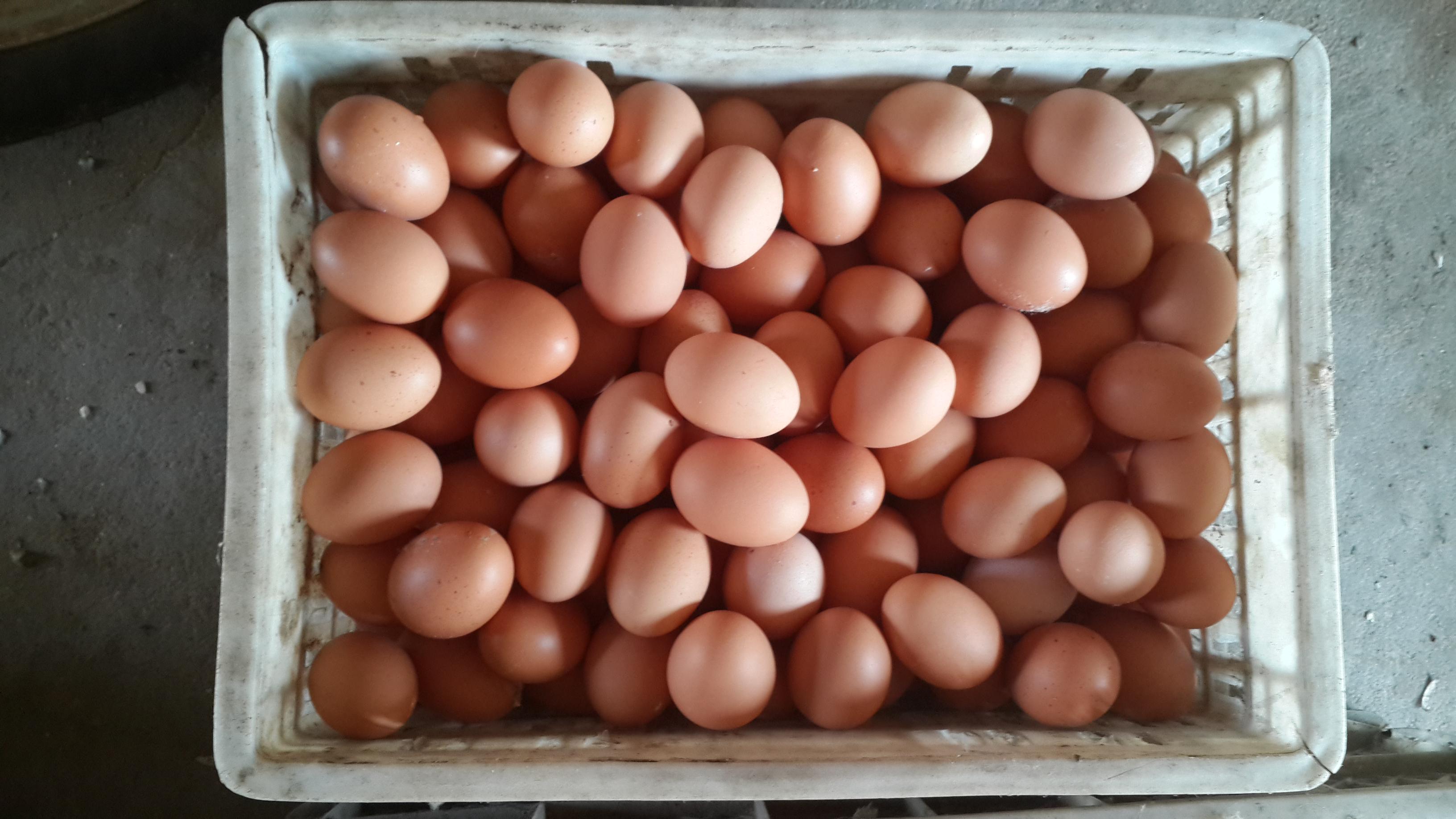 BG大游·(集团)视讯官方网站