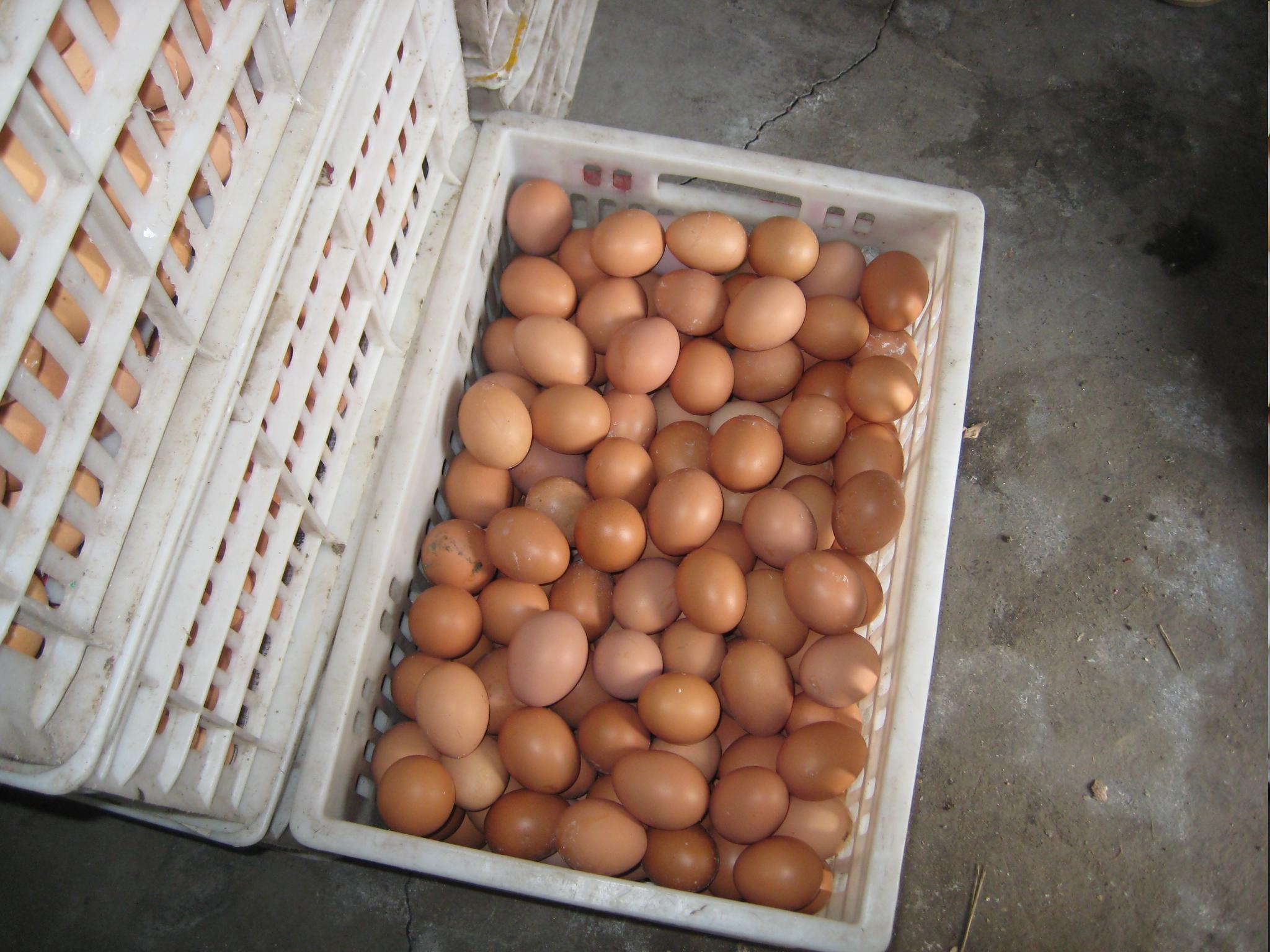 BG大游·(集团)视讯官方网站