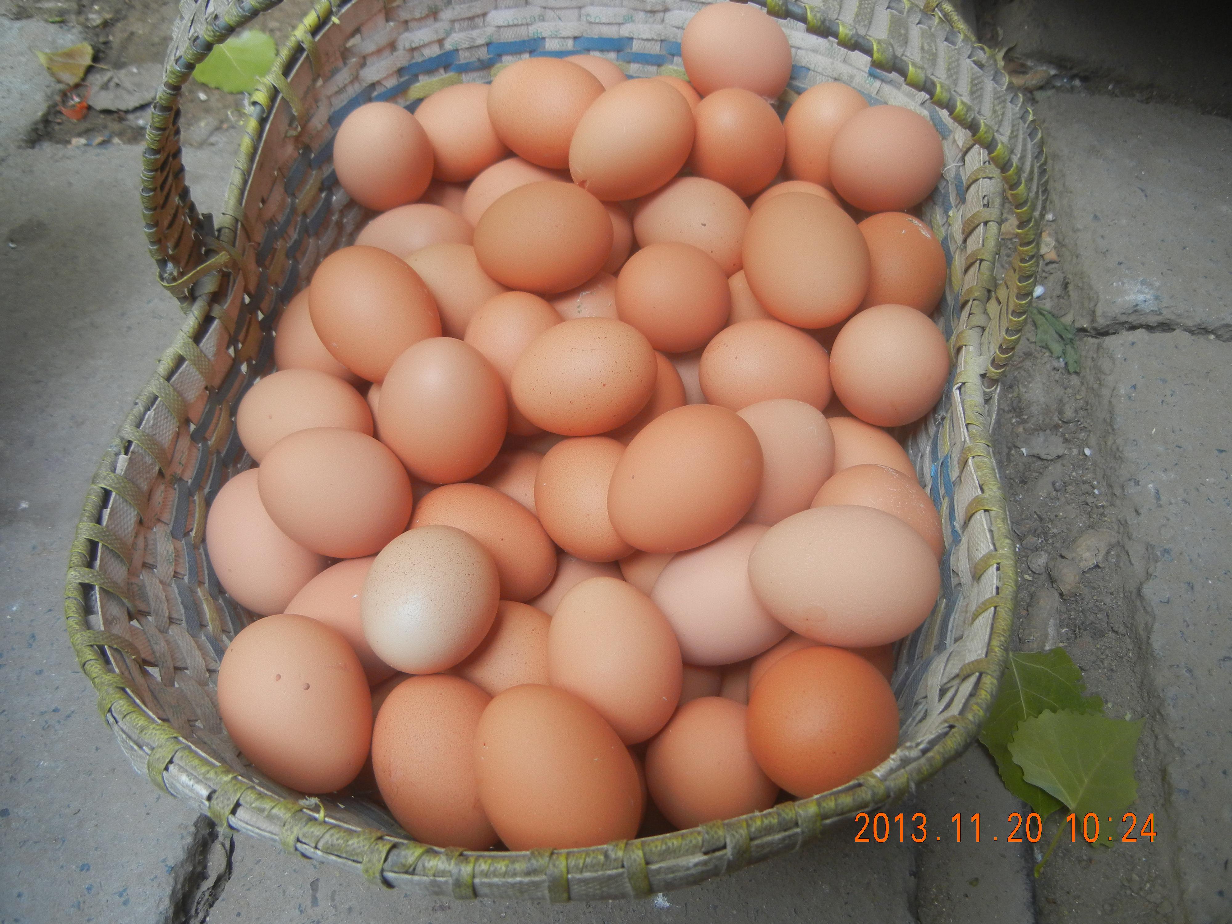 BG大游·(集团)视讯官方网站