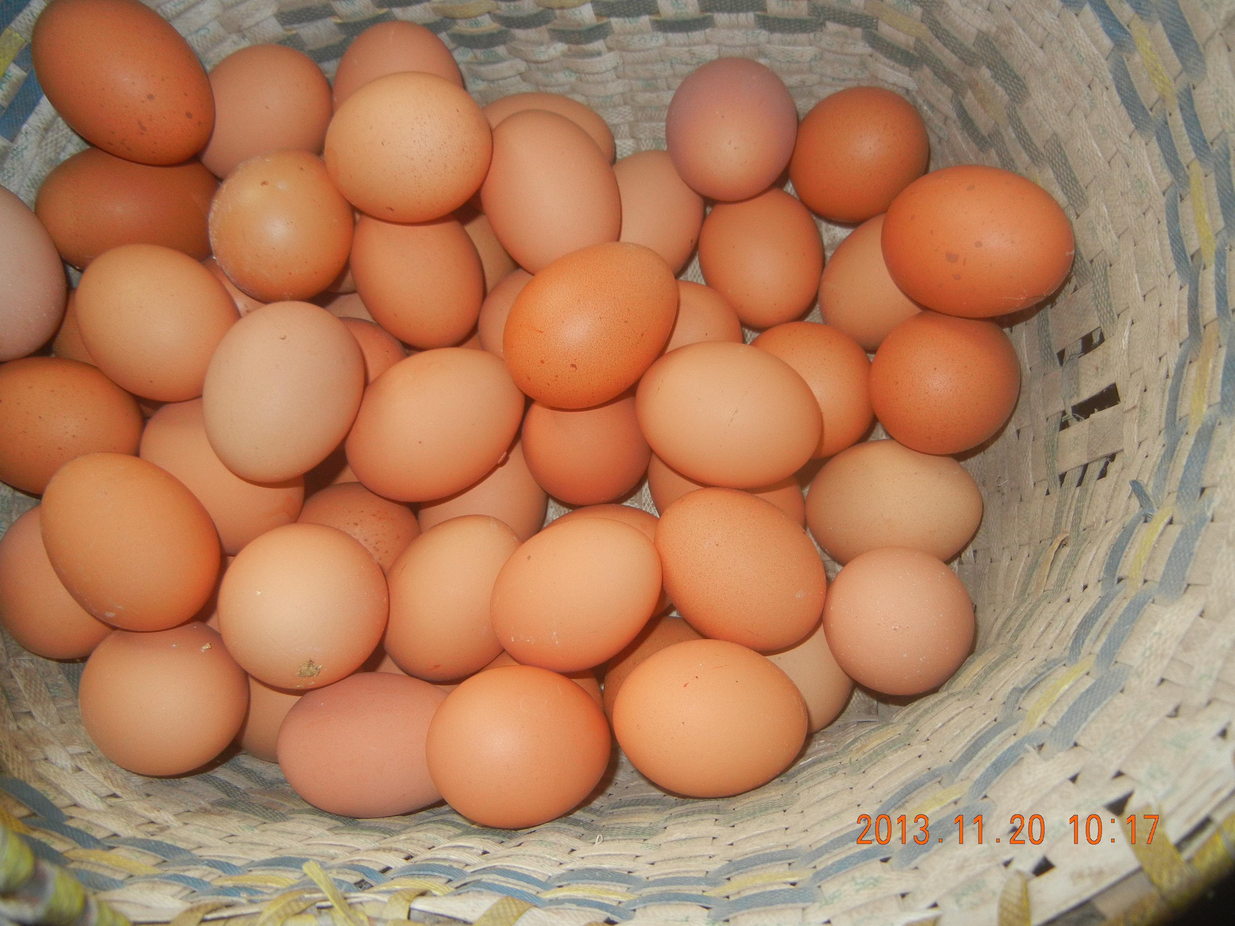 BG大游·(集团)视讯官方网站