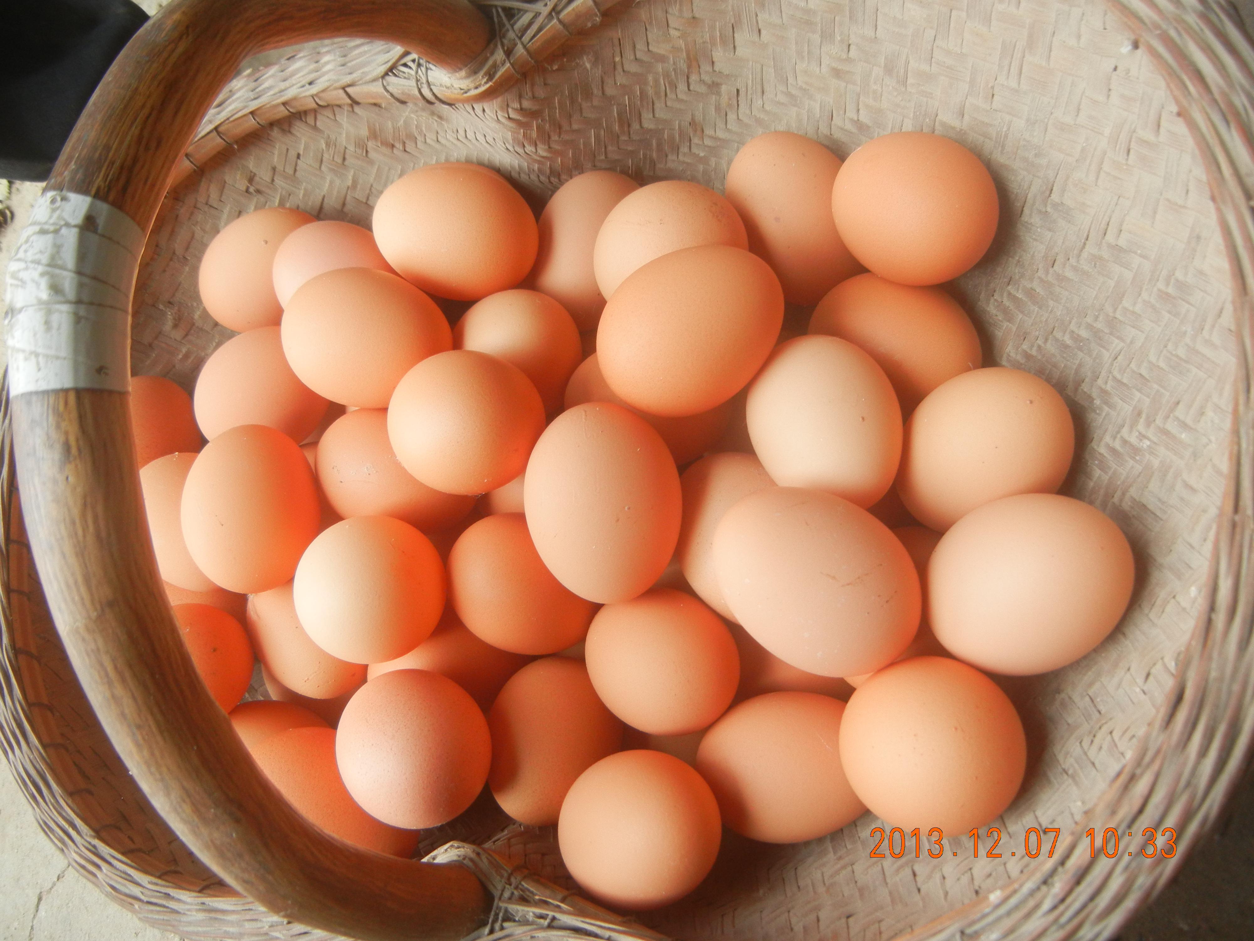 BG大游·(集团)视讯官方网站