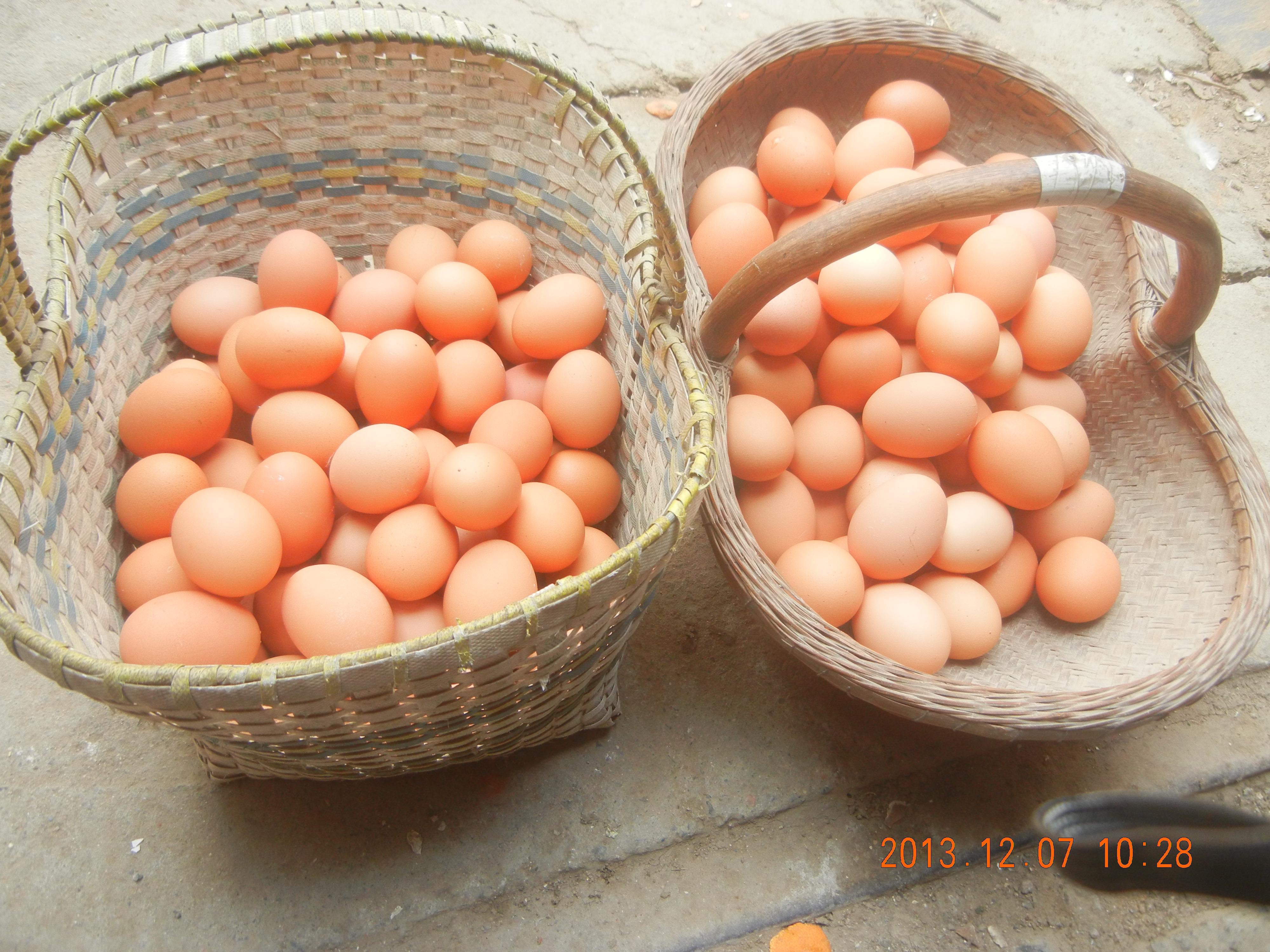 BG大游·(集团)视讯官方网站