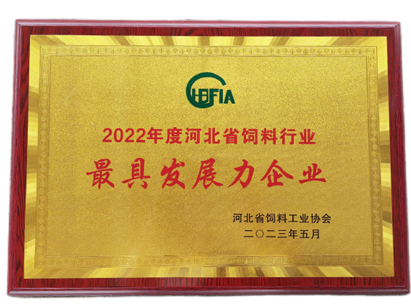 BG大游·(集团)视讯官方网站