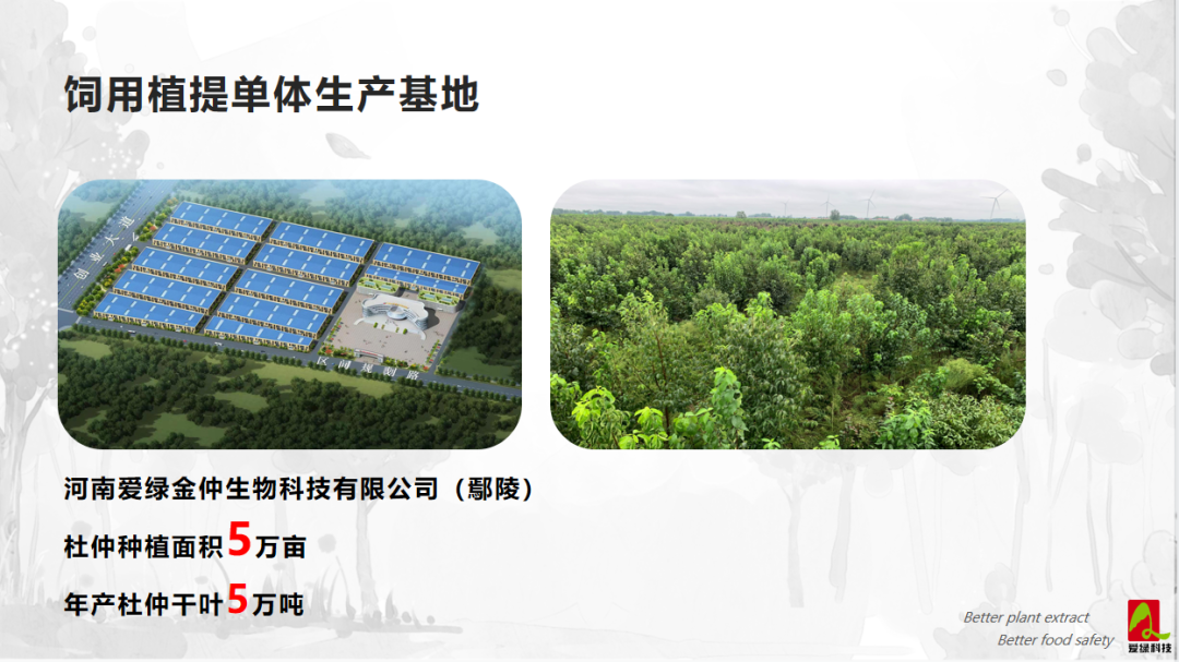 BG大游·(集团)视讯官方网站