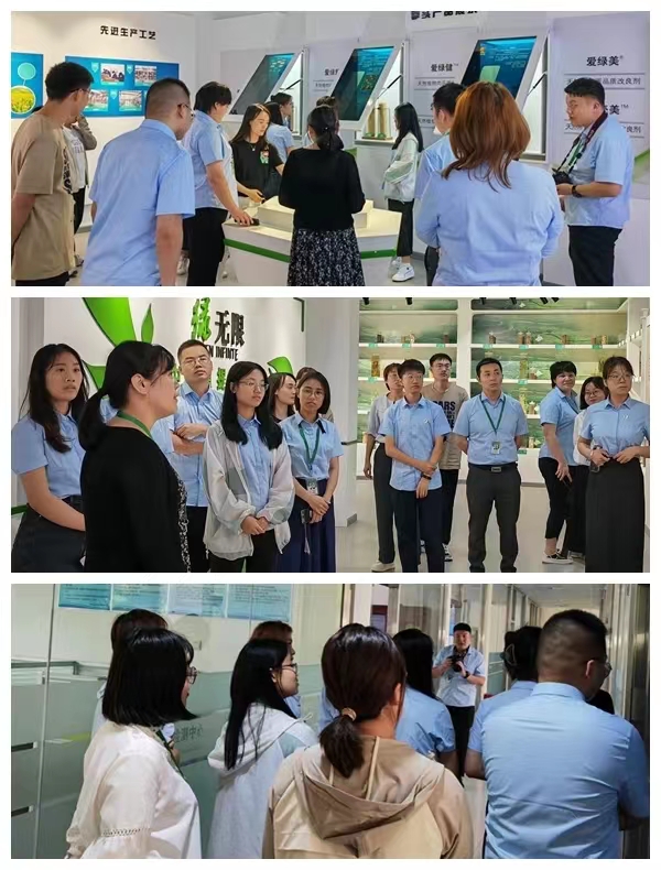 BG大游·(集团)视讯官方网站