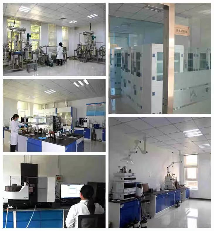 BG大游·(集团)视讯官方网站