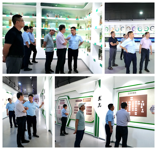 BG大游·(集团)视讯官方网站