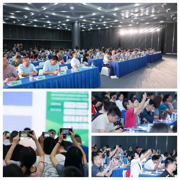 BG大游·(集团)视讯官方网站