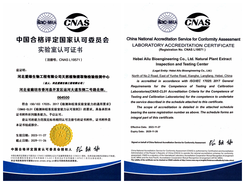 BG大游·(集团)视讯官方网站