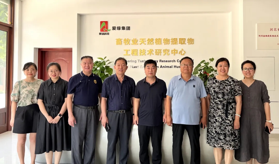 BG大游·(集团)视讯官方网站